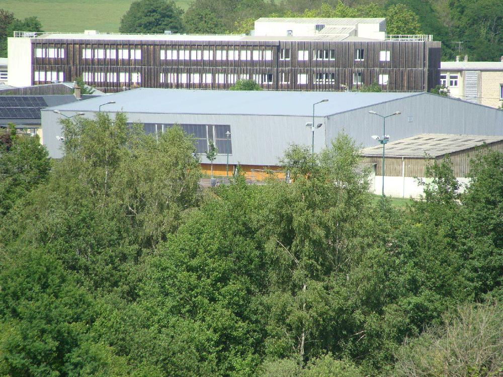 Blog Image